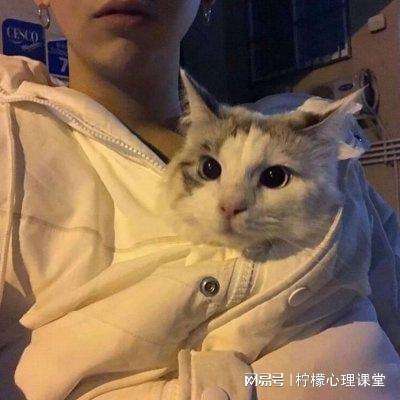 传奇之巅手游下载
