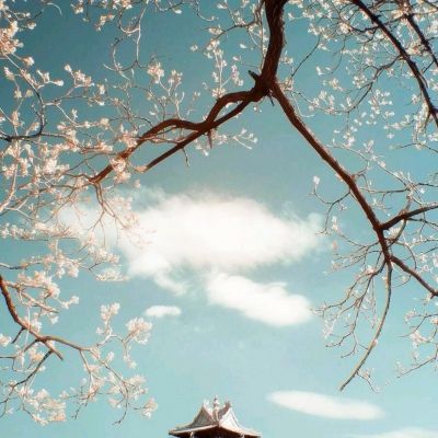 西游天下九游版下载